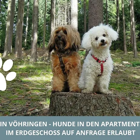 Lejlighed Iller Homes - 5 Moderne Je 1bis2 Oder 1bis4 Pers Mit Kueche U Balkon - Parkplaetze Vorhanden *