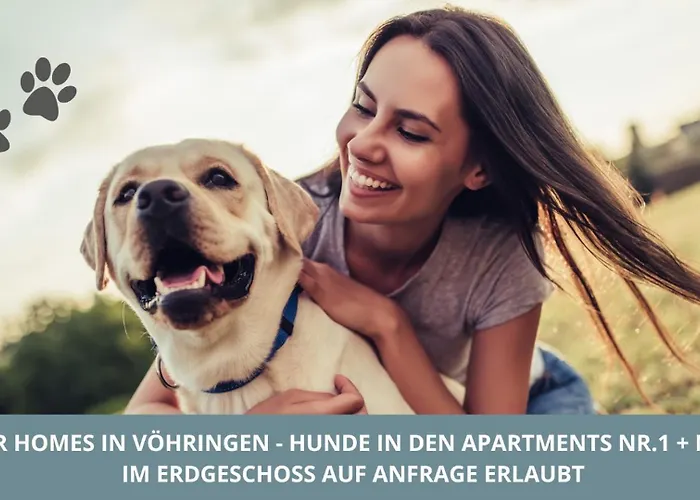 Iller Homes - 5 X Moderne Fewos Je 1bis2 Oder 1bis4 Pers Mit Kueche U Balkon - Parkplaetze Vorhanden 公寓 沃海根