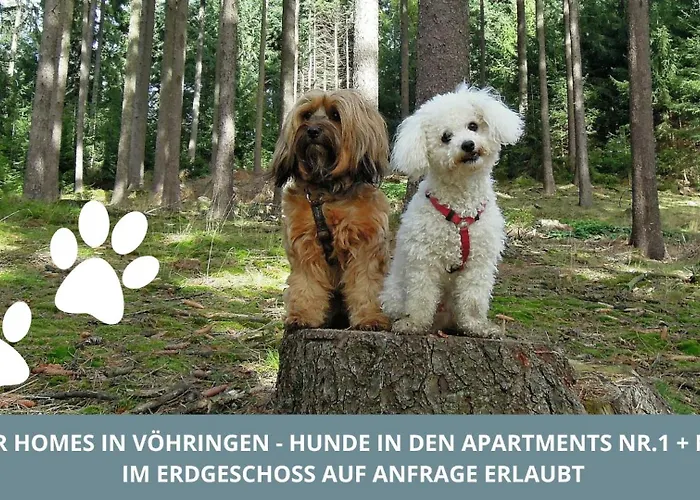 公寓 Iller Homes - 5 X Moderne Fewos Je 1bis2 Oder 1bis4 Pers Mit Kueche U Balkon - Parkplaetze Vorhanden *